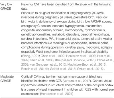 The Multidisciplinary Guidelines for Diagnosis and Referral in Cerebral Visual Impairment